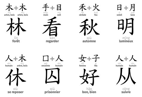Les six types de caractères chinois .